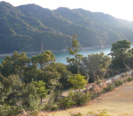 海部町キャンプ場