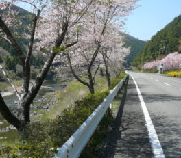 四万十川サイクリングロード
