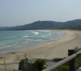 足摺サニーロード