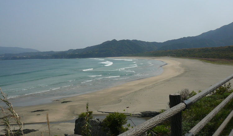 足摺サニーロード