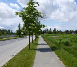 スティーブンリン通り