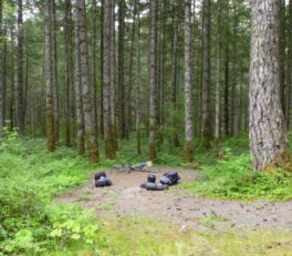 初めてのキャンプ場