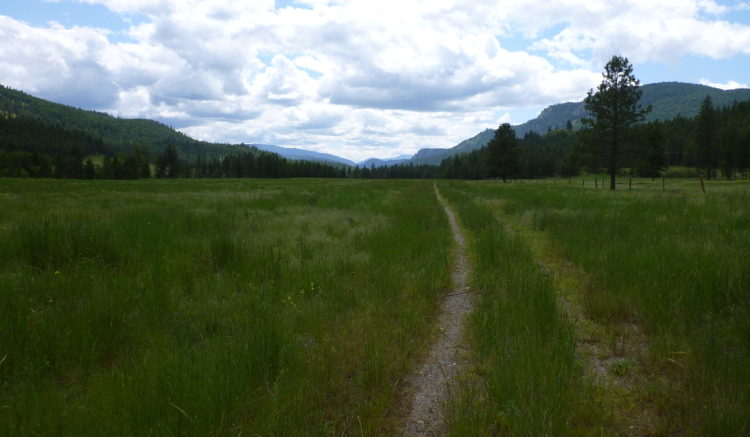 草原を行くＴＣＴルート