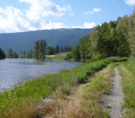 グランドフォークスの川沿い道路