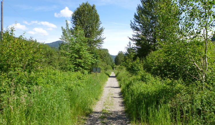 砂利が深いコース