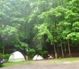 ネルソン市のキャンプ場