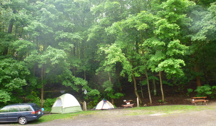 ネルソン市のキャンプ場