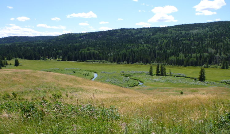 バトルクリーク