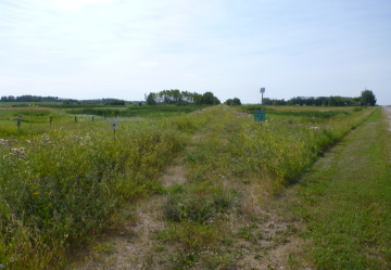 ロスバーンのTCTルート