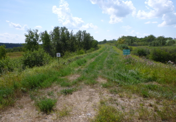 エルフィンストーン町のTCTルート