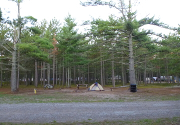 エコーベイ町のキャンプ場