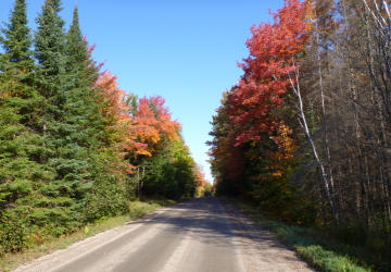 ５３４号線と間違えた道路