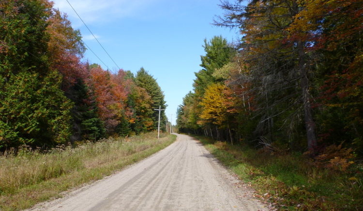 オールドムスコカ通り