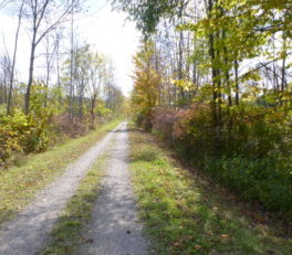 ケンブリッジ市のＴＣＴコース