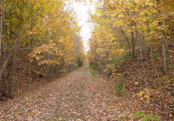 15号線横のTCTコース