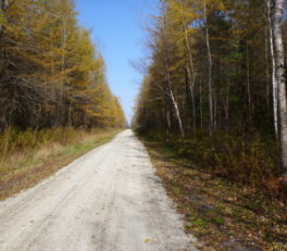 リステ町のＴＣＴコース