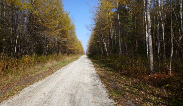 リステ町のＴＣＴコース