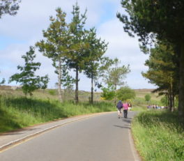 ＬＥ６３３号線の巡礼路