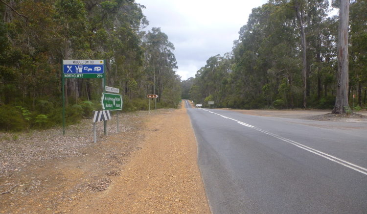 Shannon国立公園内の1号線