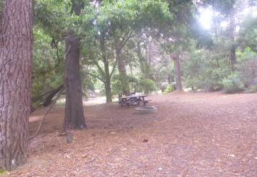 Shannon国立公園内のキャンプ場