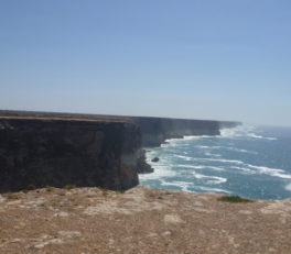 ナラボー国立公園の断崖