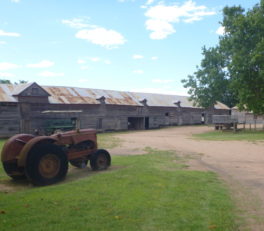 Belgenny Farm